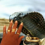 COBRA