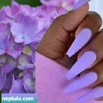 Press on nails