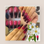 Press on nails