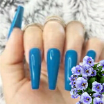 Press on nails